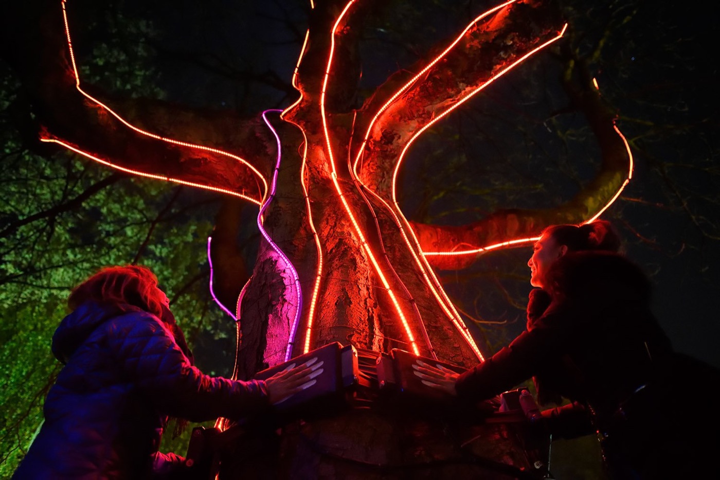 Bezoekers leggen hun handen op de verlichte boom van Trees of Life tijdens GLOW Eindhoven